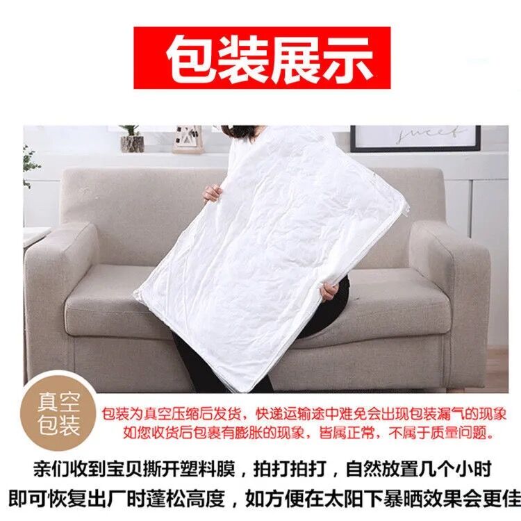 枕头一对装护颈椎枕芯带枕套家用宿舍男女可水洗软枕助眠